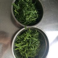 清炒茼蒿