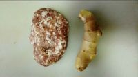 鲜肉小馄饨