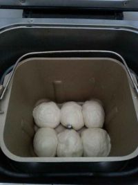 牛奶小排