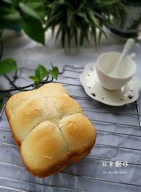 牛奶小排