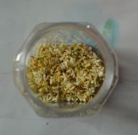 自制桂花