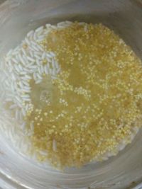 好多个番茄饭