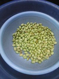 黄豆蒸排骨
