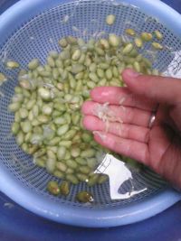 黄豆蒸排骨