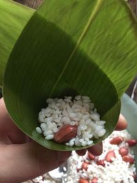 蜜豆花生粽