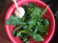 炒青菜