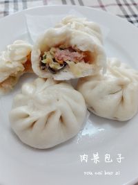 肉菜包子