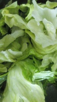 蚝油生菜