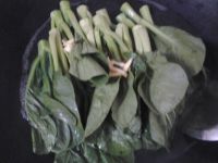 白灼菜心