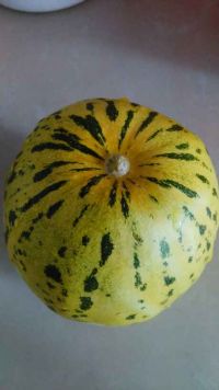 冰镇香瓜