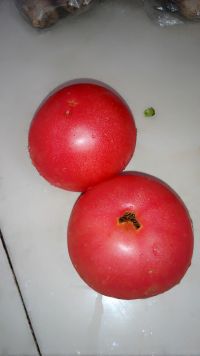 西红柿炒鸡蛋