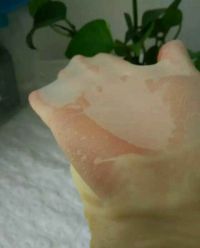 老式面包