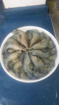 蒜蓉粉丝蒸虾