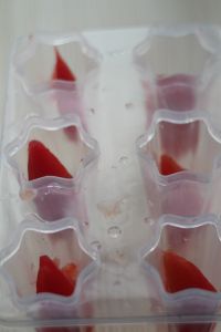 西红柿冰棍