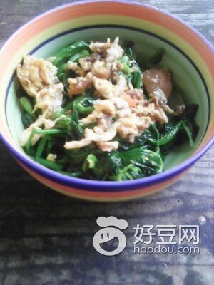 鸡蛋油麦菜