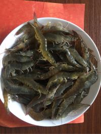 海南柚子虾仁饭