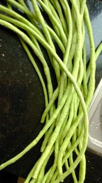 豇豆拌虾