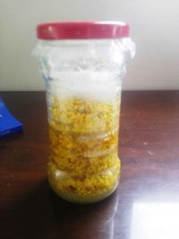 桂花糖