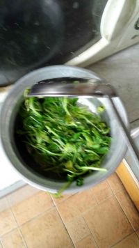 白灼鸡毛菜