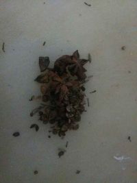 高压锅版香干炖蹄膀