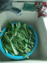 清炒小白菜