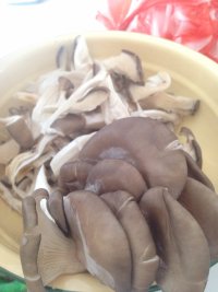 辣子炒蘑菇