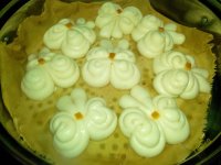 蝴蝶卷