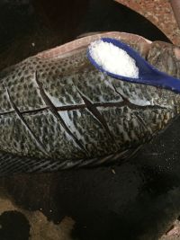 蕃茄焖罗非鱼
