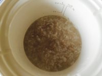 胡萝卜牛肉粥
