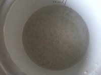 胡萝卜牛肉粥