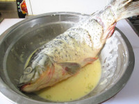 金银浇汁鱼
