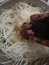 芝香豆腐香菜萝卜丝饼