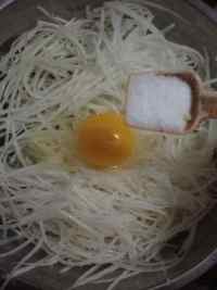 芝香豆腐香菜萝卜丝饼