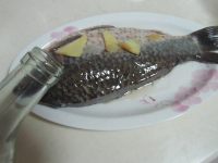 金钱荷包鱼