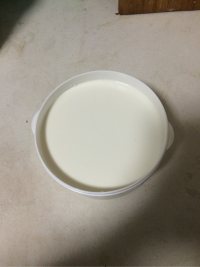 自制酸奶