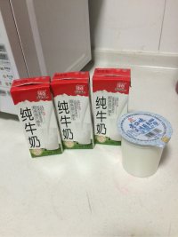 自制酸奶