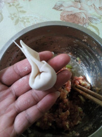 猪肉大葱馄饨