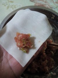 猪肉大葱馄饨