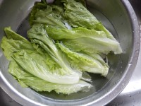 墨西哥鸡肉卷