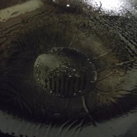 糖醋香肠蒜苗