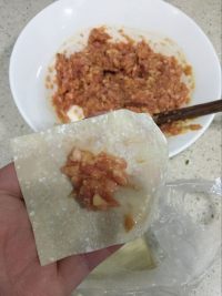 鲜肉马蹄小馄饨