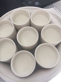 自制酸奶