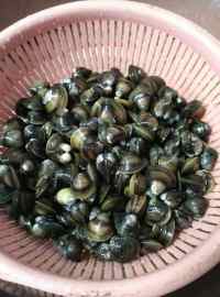 蚬子肉炖豆腐