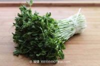 清炒豆苗