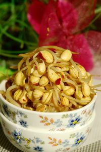 饮料瓶里的豆芽菜