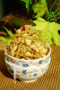饮料瓶里的豆芽菜