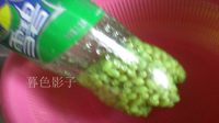 饮料瓶里的豆芽菜