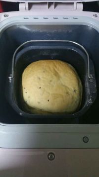 小智 快手面包