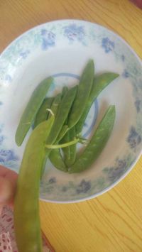 荷兰豆炒百合