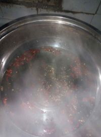 xi下饭豆腐